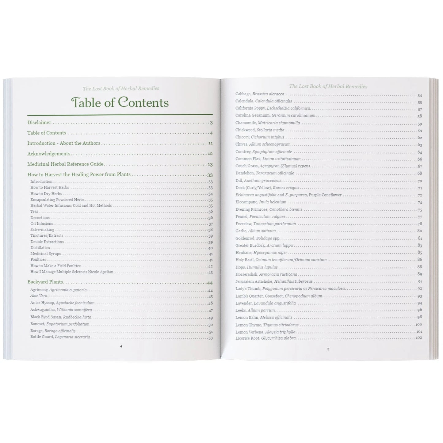 The Lost Book of Herbal Remedies