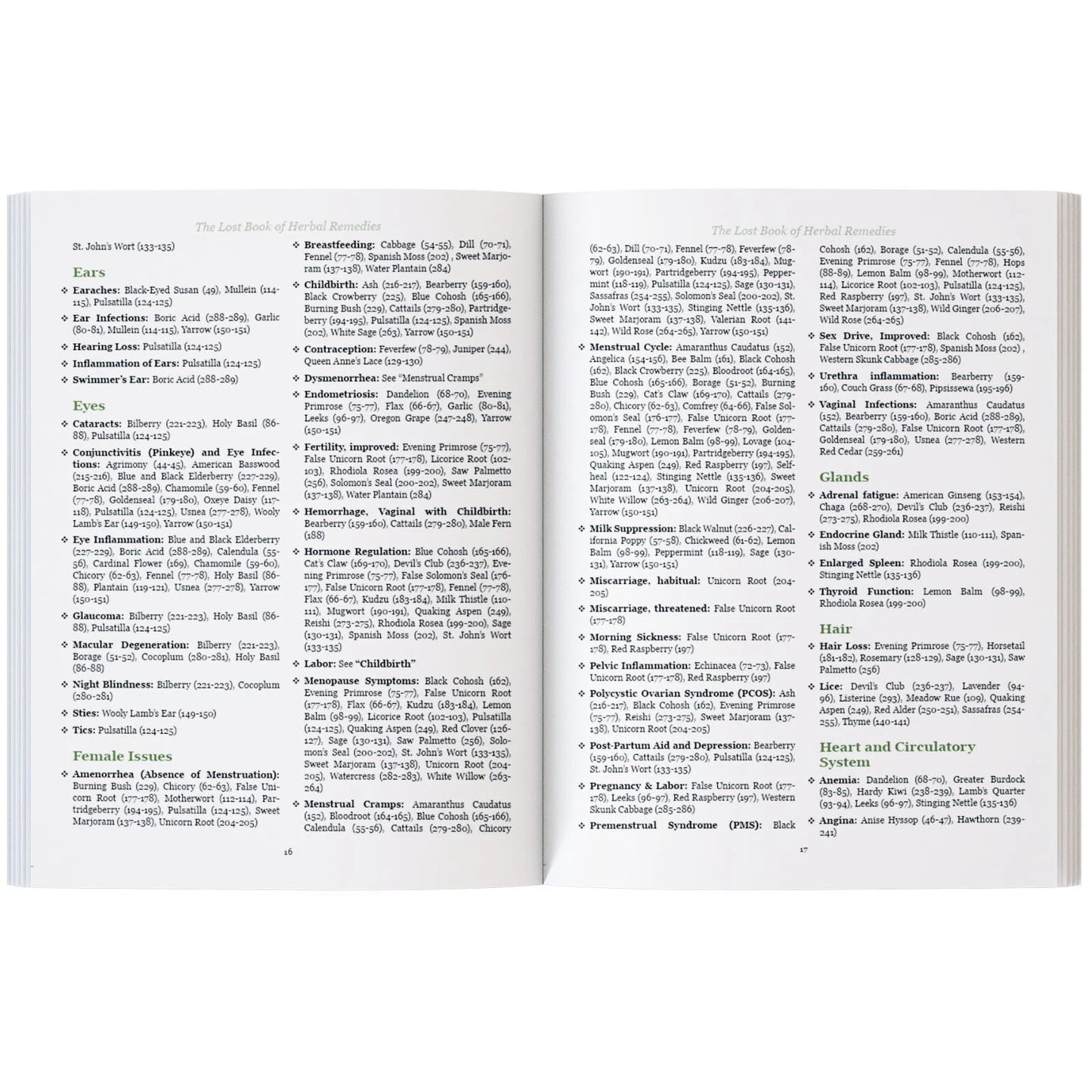 The Lost Book of Herbal Remedies