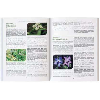 The Lost Book of Herbal Remedies